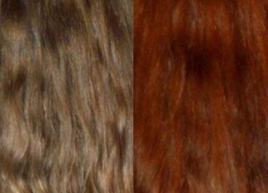 Фарбування волосся натуральними екстрактами можливе