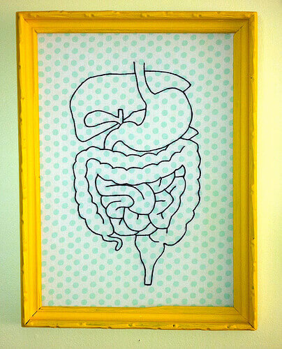 Кишечник та дивертикульоз