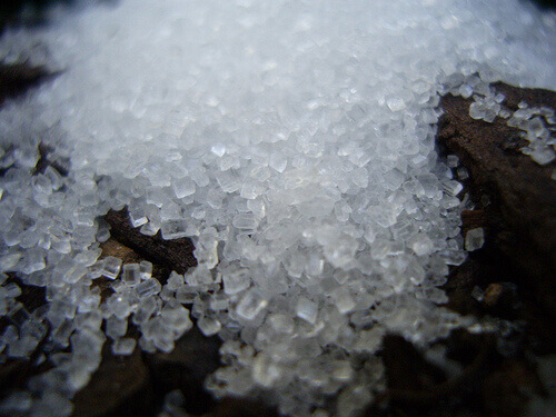 Солодкий цукор