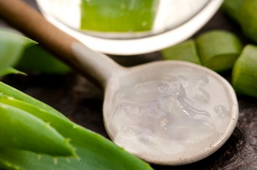 Nytrowi_aloe