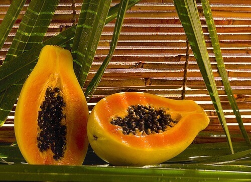 Papajia1