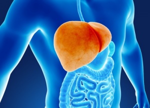 6 звичок, що шкодять печінці
