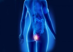 Дізнайтеся, як вчасно виявити геморой