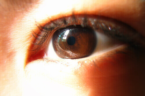 коричневий колір очей