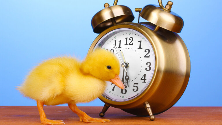 4 речі, які успішні люди роблять вранці