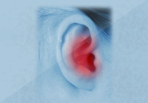 Вуха