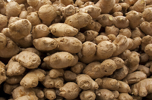 корінь імбиру