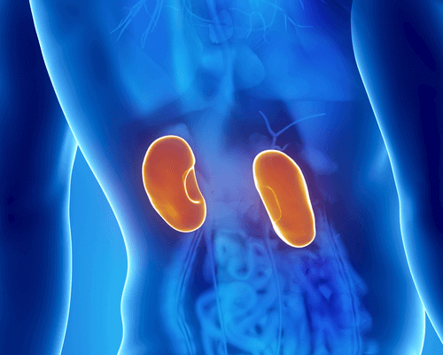 Хвороби нирок: симптоми і лікування