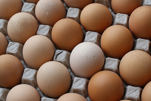 виробництво яєць