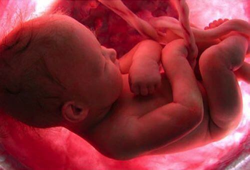 Чому ми не пам'ятаємо свого народження?