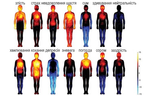 Як негативні емоції шкодять організму