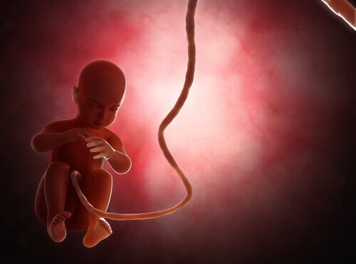 Зміна клімату може вплинути на кількість народжуваних хлопчиків