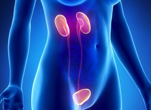 10 симптомів ниркової недостатності