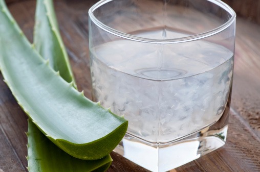 aloe_sik