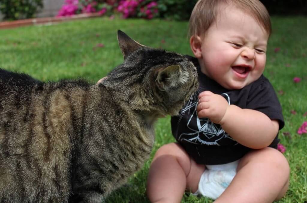 дитина грається з кішкою