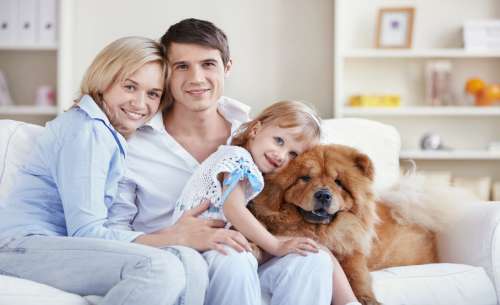 мама, тато, дочка і пес сидять на дивані