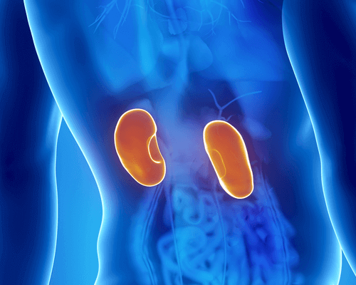 ниркові інфекції та їх симптоми