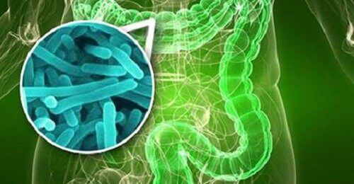 10 ознак бактеріального росту в тонкому кишечнику