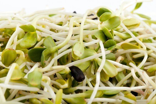 Найкраща їжа для волосся