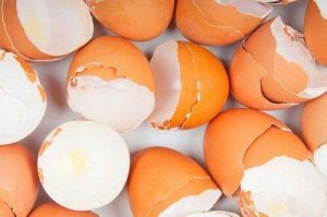 Незвичні способи використання яєчної шкаралупи