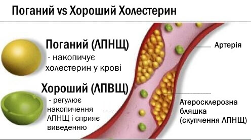 холестерин