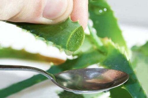 3-aloe-gel