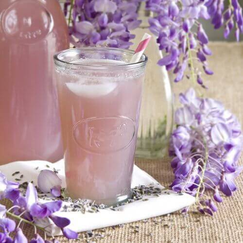 Lavanda-500x500