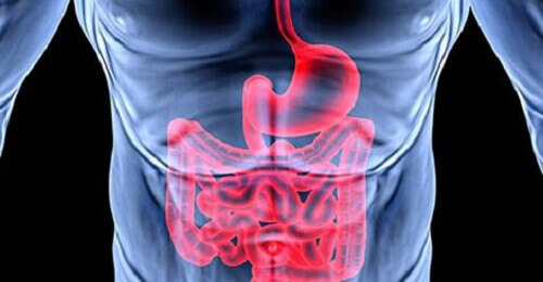 Погане травлення та емоційні проблеми