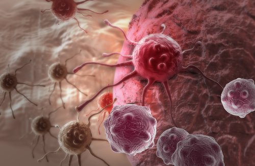 клітини раку