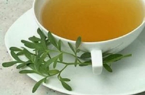 9 трав, які заспокоять нерви та зменшать занепокоєння