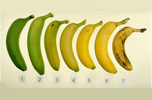 Які банани найкорисніші: стиглі чи зелені?