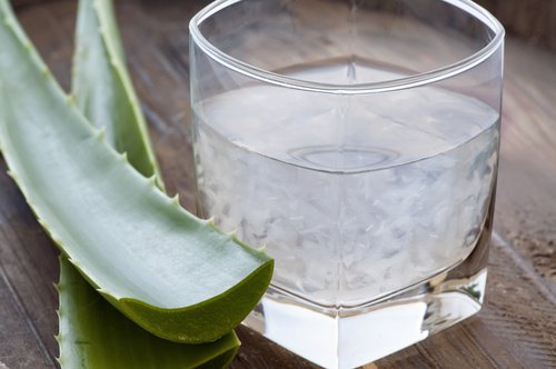 2-sik-aloe(1)