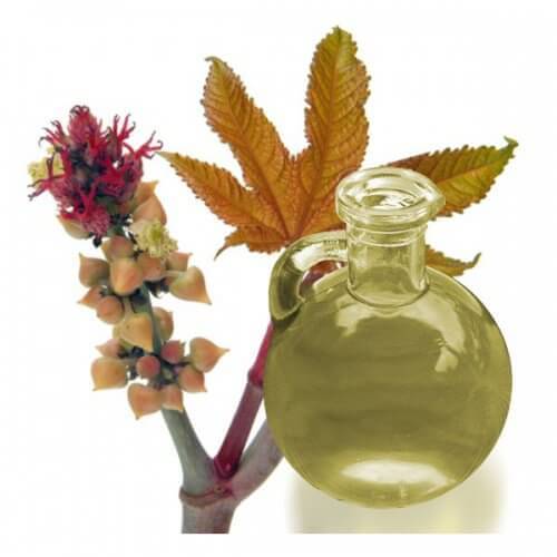 рицинова олія серед олій для росту волосся