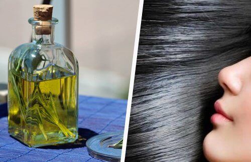 олія розмарину серед олій для росту волосся