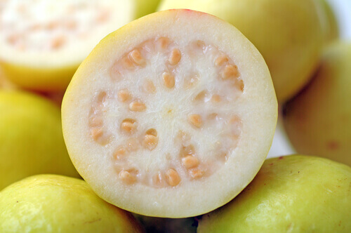 guava-2