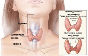 Симптоми та причини основних гормональних проблем