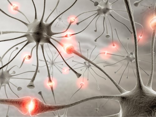 нейрони у мозку