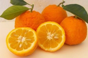Апельсинова дієта для втрати ваги і покращення здоров'я