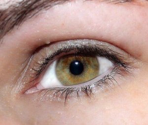 Як покращити здоров'я очей