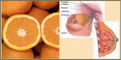 Апельсини та молочні залози
