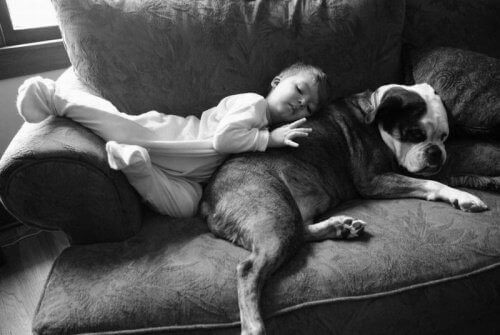 дитина спить