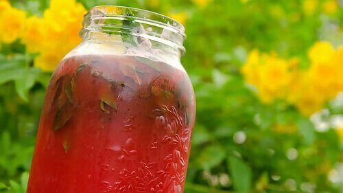 сік з кавуна