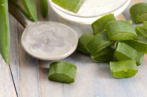 mylo-z-aloe-vera