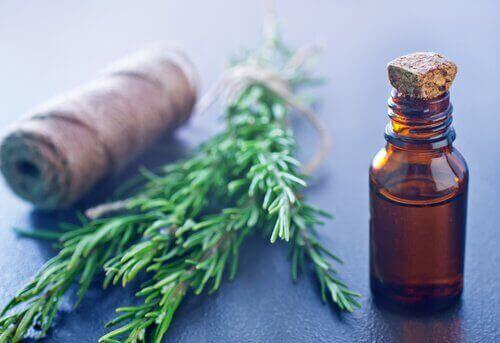 екстракт розмарину