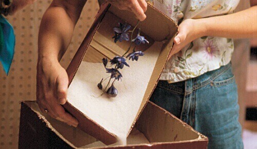 силікагель можна використовувати щоб засушити квіти