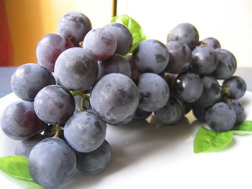 Виноград - натуральні ліки для нирок