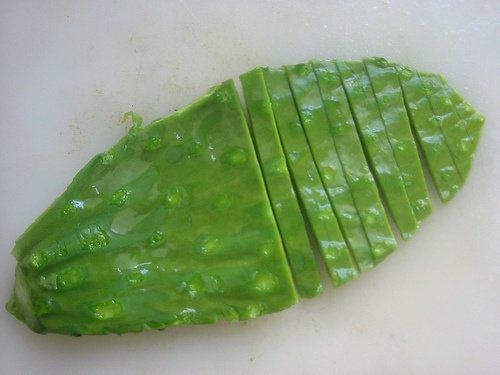 кактус