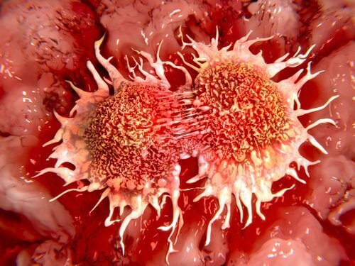 ракові клітини