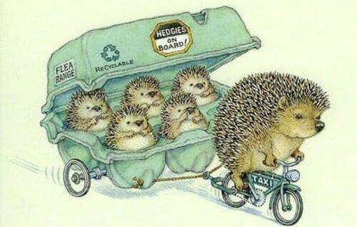 Cім'я їжаків