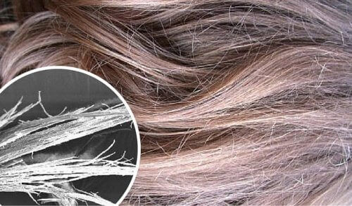 Дізнайтеся, як відновити спалене волосся